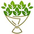 Category image