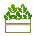 Category image