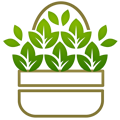 Category image