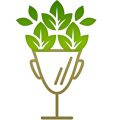 Category image